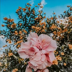 Meet your Posher, Charlee